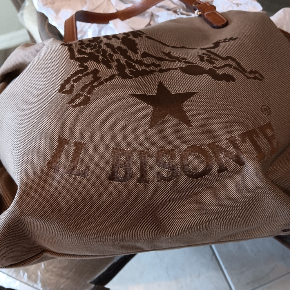 LI Bisonte Handbag - Picture 2 of 11